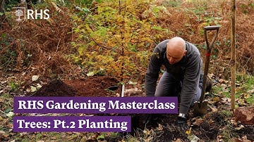 How and when to plant trees | RHS Gardening Masterclass: Trees Pt.2 | The RHS