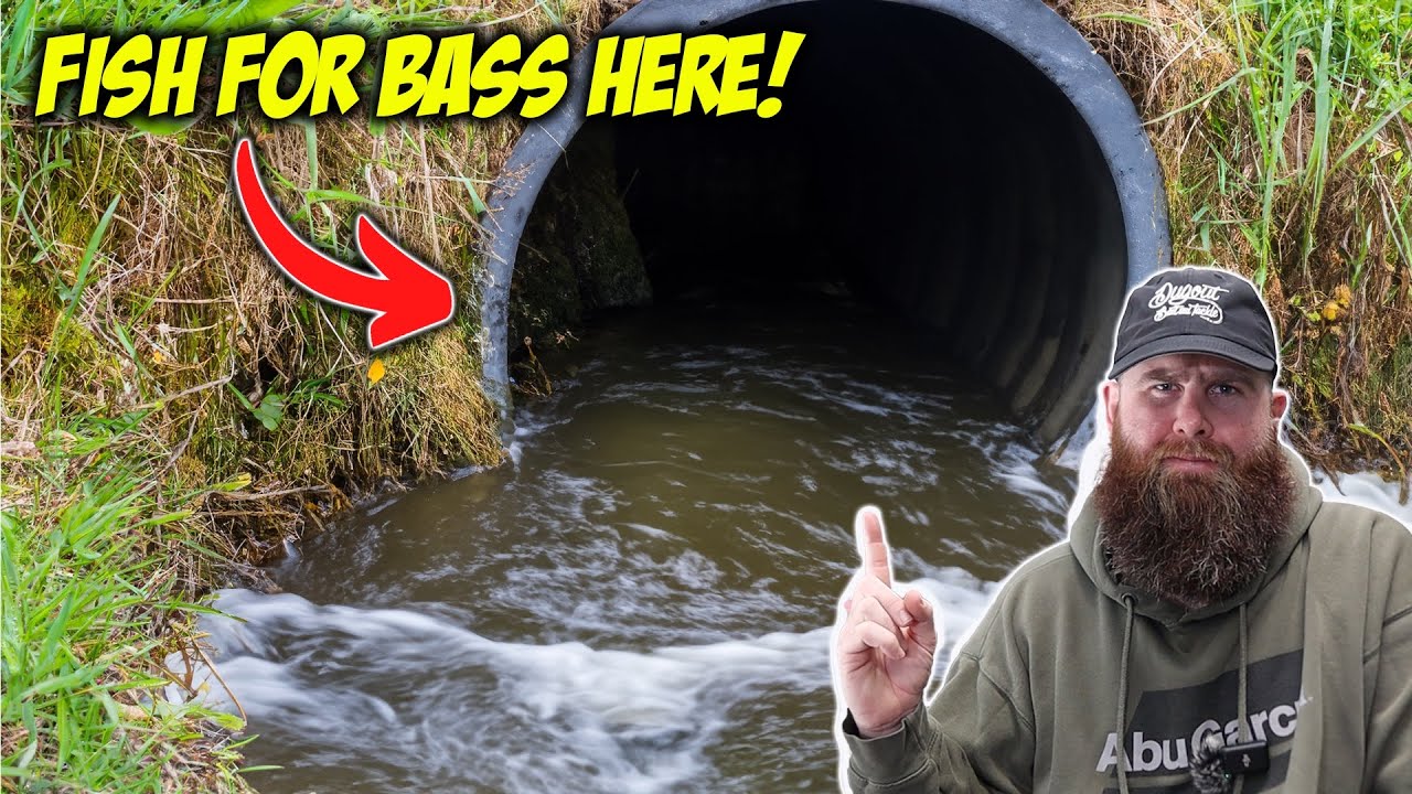 NEVER Pass This Up While Bass Fishing
