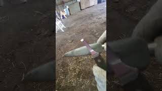 Sharpening a hoof knife