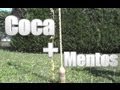 Coca  mentos  recback