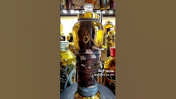 rắn ngâm rượu sống dậy cắn người 🤨 #rankhonglo #rắnkhổnglồ #ruouran #rượu_rắn