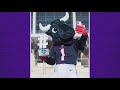 Houston Texans&#39; TORO scores two NFL Mascot Awards