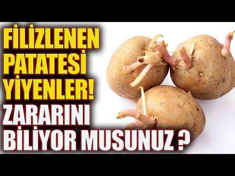 Filizlenen Patatesi Yiyenler Zararını Biliyor musunuz ?