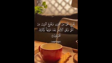 تلاوة هادئة تريح الاعصاب فسبحان الله حين تمسون وحين تصبحون وله الحمد في السماوات والأرض