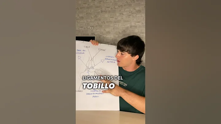 Los ligamentos del tobillo #esguince #tobillo