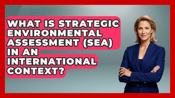What Is Strategic Environmental Assessment (SEA) In An International Context?
