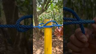 I Trust This Perfect Knot