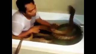 Schlange Küsst Einen Menschen 