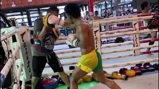 Rodtang Jimungnon The Iron Man of Muay Thai Pad Work Training Highlight #1