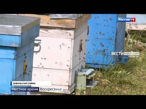 Местное время. Воскресенье.
