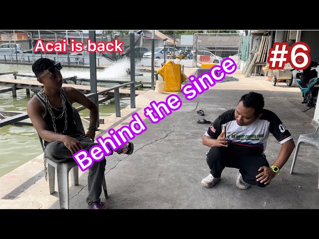 #6 - Behind the since “ Acai is back “ class=