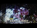 【新曲】保津川恋唄 ★中村美津子 9/27日発売 (cover) ai haraishi