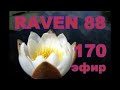 RAVEN 88 ЭФИР 170 +