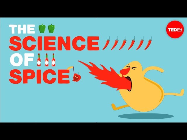 The science of spiciness - Rose Eveleth