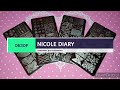 👀Обзор пластин для стемпинга Nicole Diary
