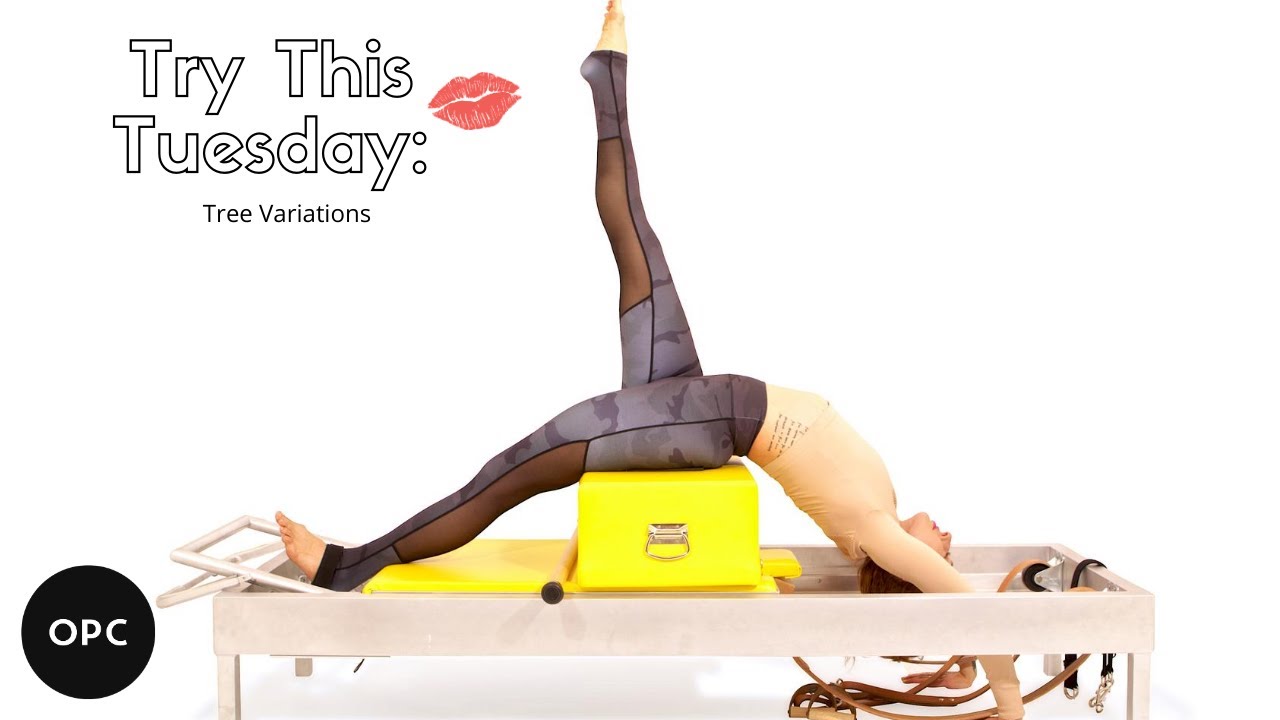 Pilates Reformer Woman Short Box Tree Exercise Stock Photo - Image