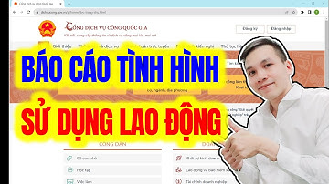 Báo cáo tình hình sử dụng lao động