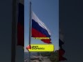 Они совсем отчаялись? Или что?