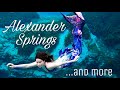 Alexander Springs Swim & Clearwater Beach Sunset | Mermaid Adventure!