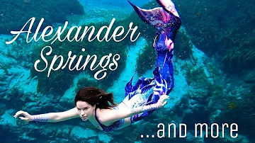 Alexander Springs Swim & Clearwater Beach Sunset | Mermaid Adventure!