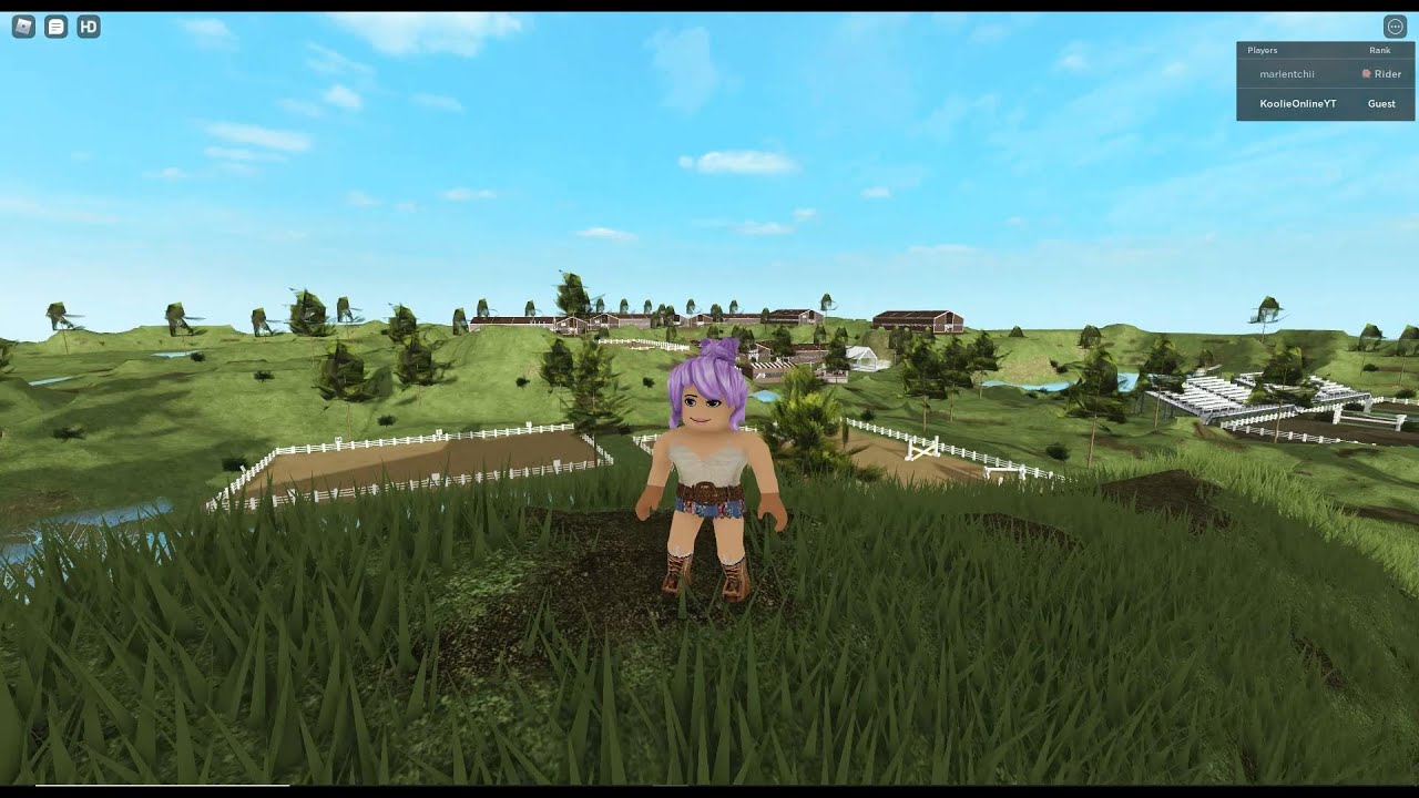 Роблокс хорс. Horses in the game Roblox mo Competitions Maple Springs.