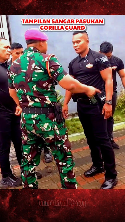 Kesangaran gorilla guard tidak kalah sangar dgn prajurit marinir TNI #tni #tniindonesia #bravo