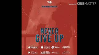 Harmonize_ Never give up (instrumental) by florizy