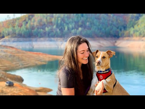 Stray dog melts hikers heart - The dog that picked his human!