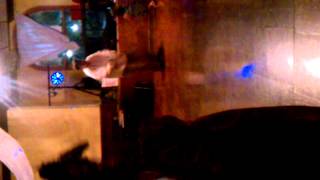Fat Kid dancing like retard
