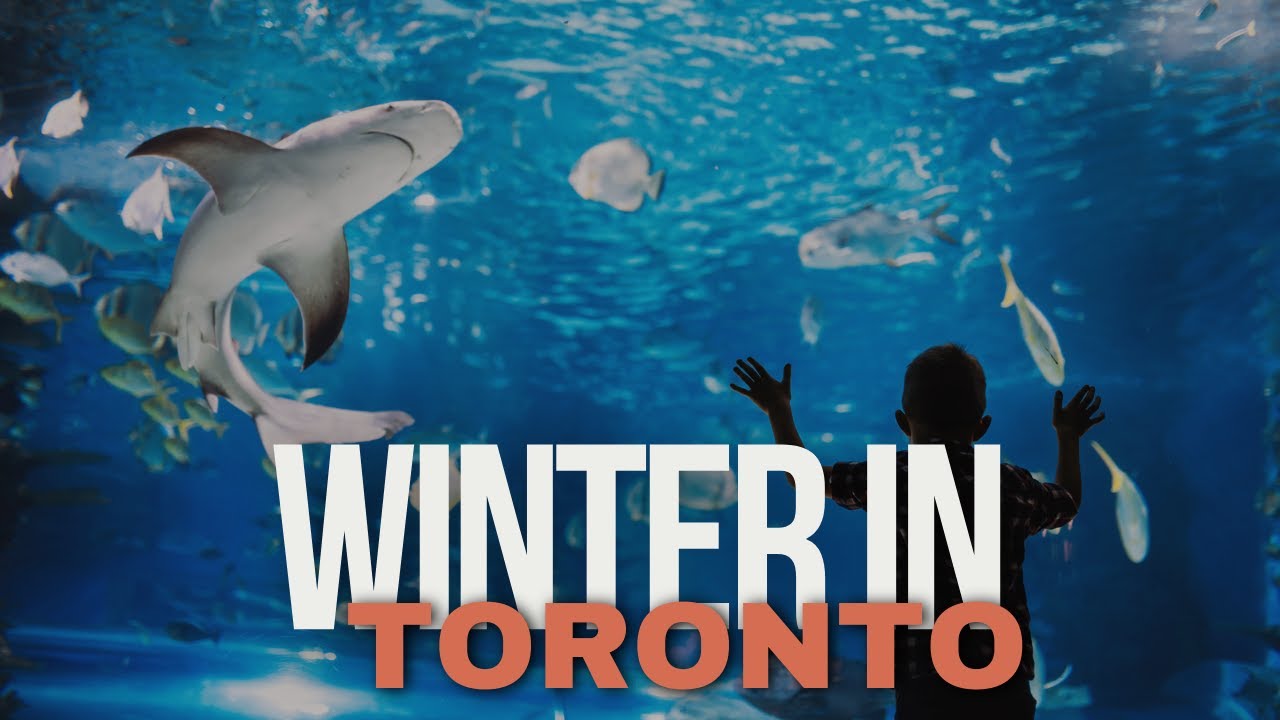 Winter Things to Do in Toronto Canada | Ripley's vs Wonderland WinterFest