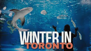 Winter Things to Do in Toronto Canada | Ripley's vs Wonderland WinterFest