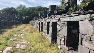 Is prepping dead on YouTube ????