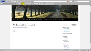 How to use s2membership s2Member  File Download Options 4