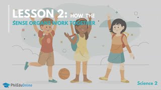 Science Kinder, Grade 1-3 | How the Sense Organs Work Together | PhilEduOnline