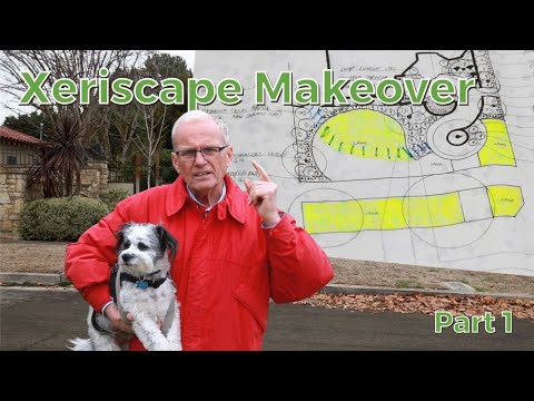 วีดีโอ: ไอเดียสวน Xeriscape - ข้อมูลเกี่ยวกับ Xeriscape Shade Gardens