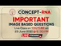 Important image based questions  concept rna