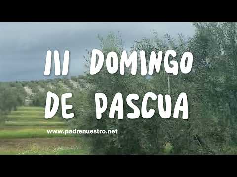 ✝️ TERCER DOMINGO de PASCUA - Ciclo A | Palabra de DIOS de cada Domingo