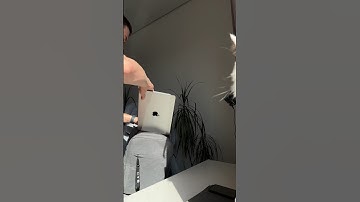 Сколько кода должен писать программист?