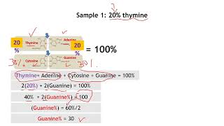 DNA concentration
