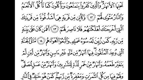 سورة محمد من 12-15