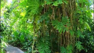 VID 20240330 110815 00 032