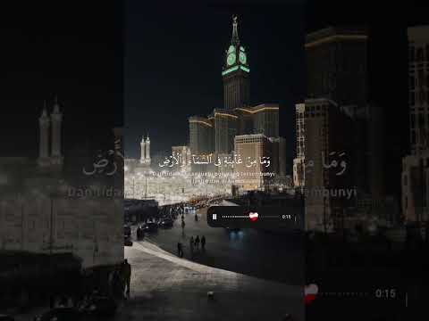 أكتب شئ توجر عليه لا تنسو اشتراك  اكسبلور اقنباسات تصميمي ذواقه لايك روعات