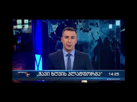 \"შავი ზღვის პლატფორმა\"-კომენტარს აკეთებენ ზვიად ჭუმბურიძე და აშშ-ის ელჩი საქართველოში კელი დეგნანი.