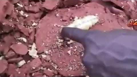 من اجمل ماسمعت مطلوب اسم القارئ