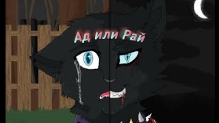 ♡◇Коты Воители◇♡~°•Ад или Рай•° ♡◇Коты Воители◇♡~°•Ад или Рай•°
