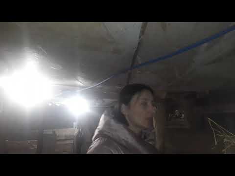Охота у коз, почему не приходят в охоту,причины и ещё.