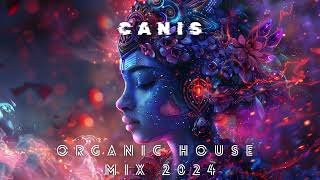 ORGANIC HOUSE MIX 2024 | MANTRA THERAPY | DOWNTEMPO | ZUMA DIONYS | TEYJAS | LILOVA | CANIS MIXTAPE