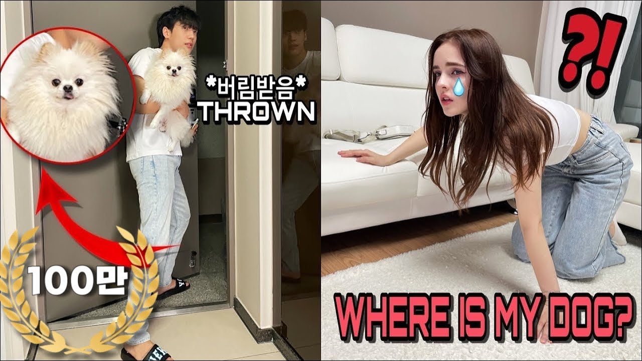 Я перевезла нашу собаку, которую мы выращивали 3 года, в другое место.