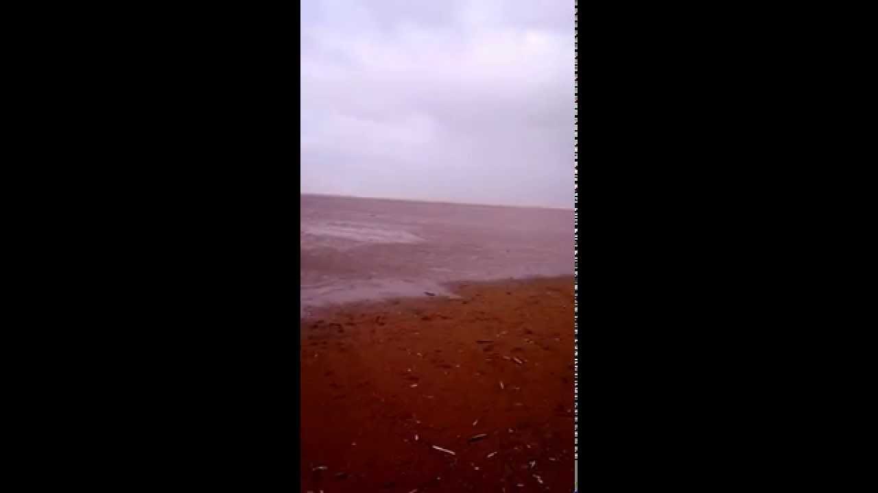 Lytham Beach Windy Walk