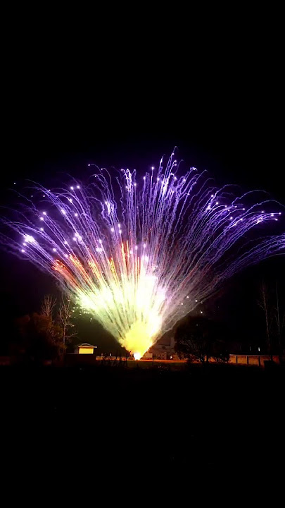 130 Shots Spring Ballet Fireworks Fan Cake #fireworks2023 #fireworkscake